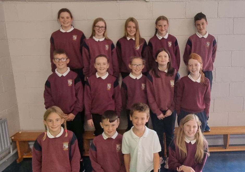 Commtteee members range from 3rd - 6th class pupils